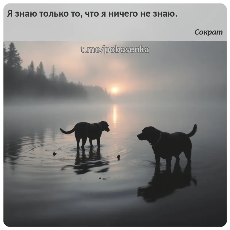 «Я знаю только то, что я ничего не...» height="550" width="550"