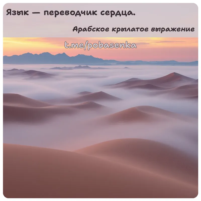 «Язык — переводчик...» height="550" width="550"