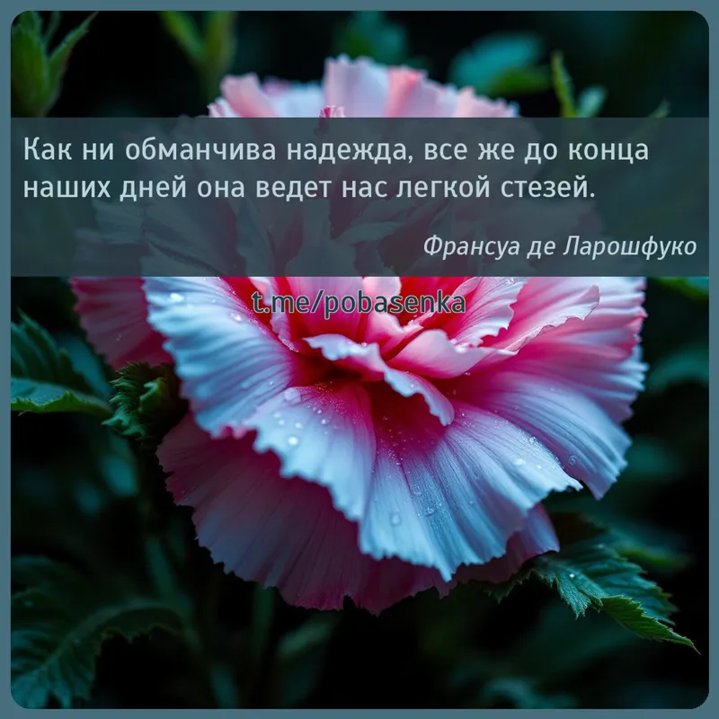 «Как ни обманчива надежда, все же до конца наших дней она ведет нас легкой...» height="550" width="550"