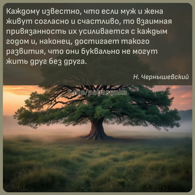 «Каждому известно, что если муж и жена живут согласно и счастливо, то взаимная привязанность их усиливается с каждым годом и,...» height="550" width="550"