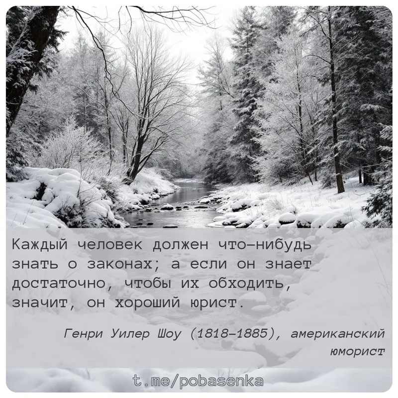 «Каждый человек должен что нибудь знать о законах; а если он знает достаточно, чтобы их обходить, значит, он хороший...» height="550" width="550"