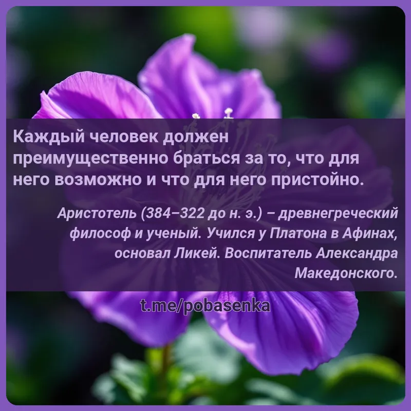 «Каждый человек должен преимущественно браться за то, что для него возможно и что для него...» height="550" width="550"