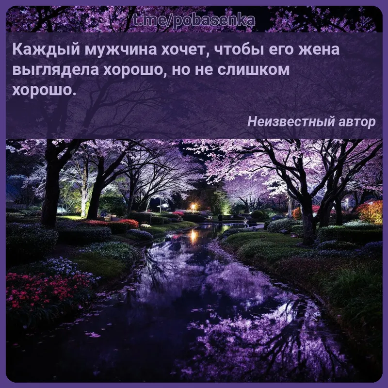 «Каждый мужчина хочет, чтобы его жена выглядела хорошо, но не слишком...» height="550" width="550"
