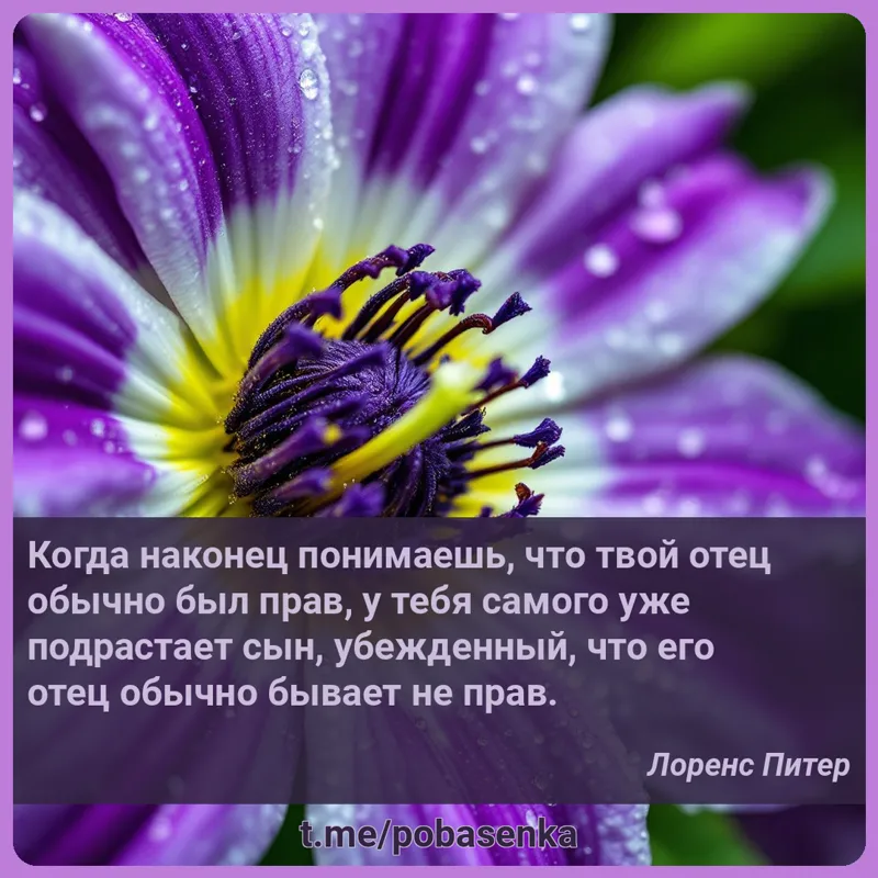 «Когда наконец понимаешь, что твой отец обычно был прав, у тебя самого уже подрастает сын, убежденный, что его отец обычно...» height="550" width="550"