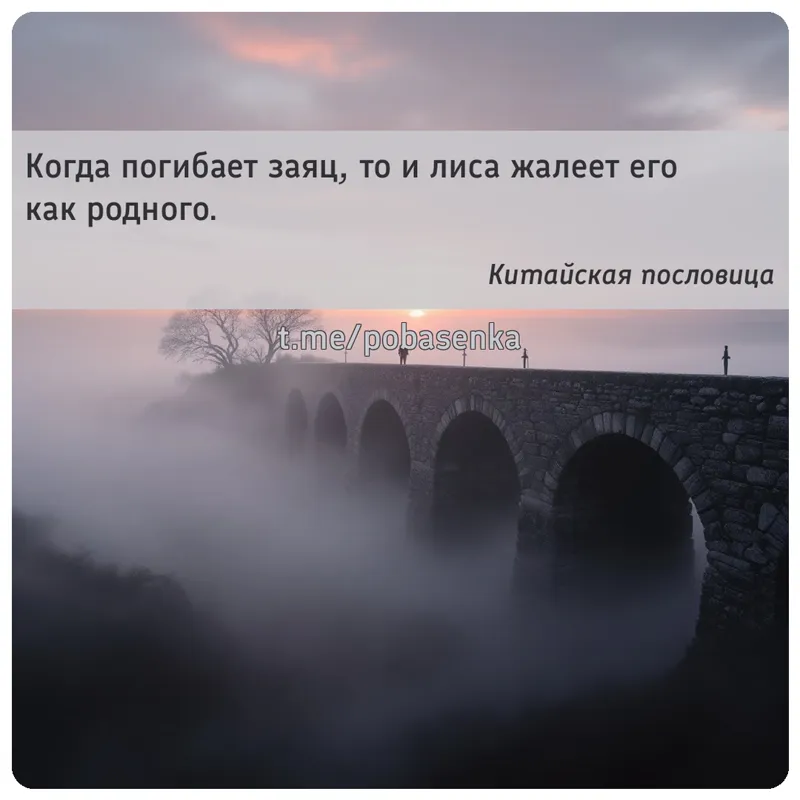 «Когда погибает заяц, то и лиса жалеет его как...» height="550" width="550"