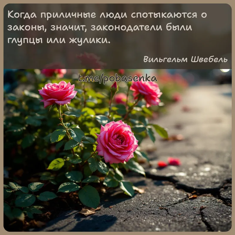 «Когда приличные люди спотыкаются о законы, значит, законодатели были глупцы или...» height="550" width="550"
