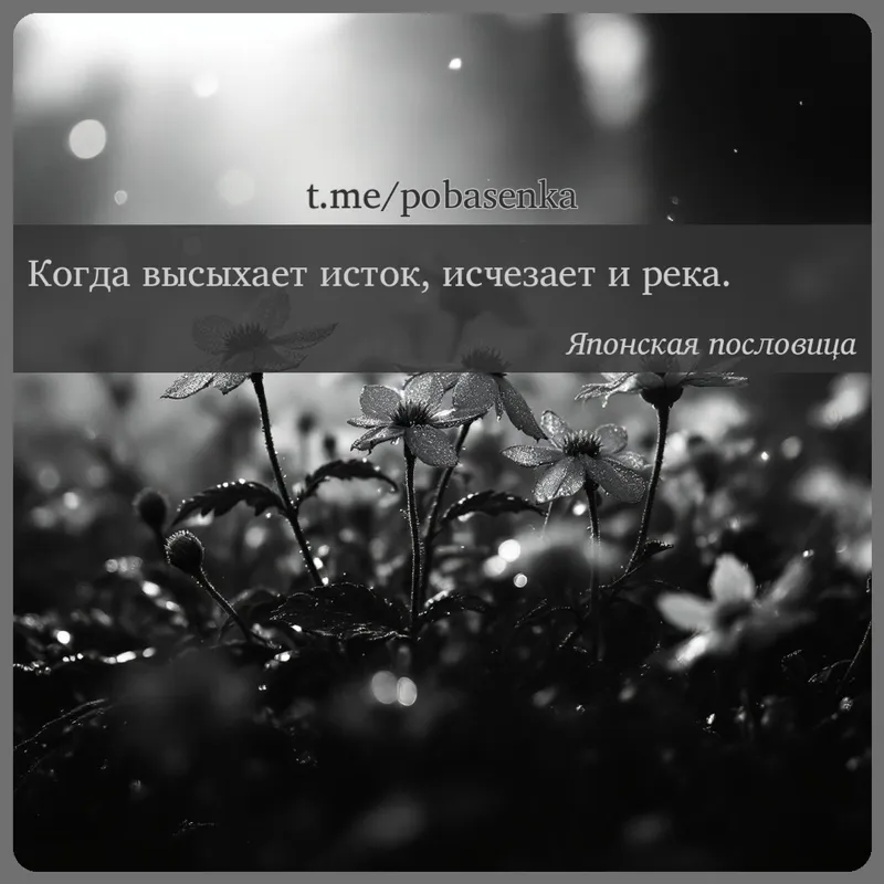«Когда высыхает исток, исчезает и...» height="550" width="550"