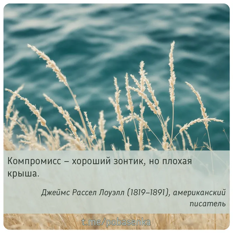 «Компромисс хороший зонтик, но плохая...» height="550" width="550"