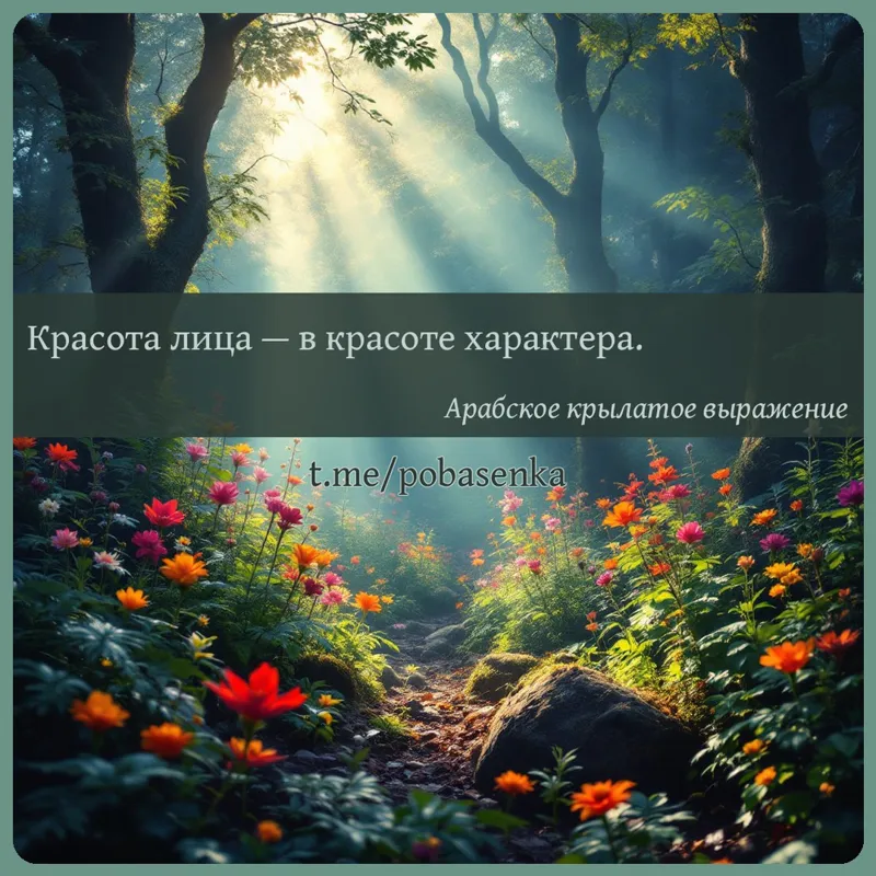 «Красота лица — в красоте...» height="550" width="550"
