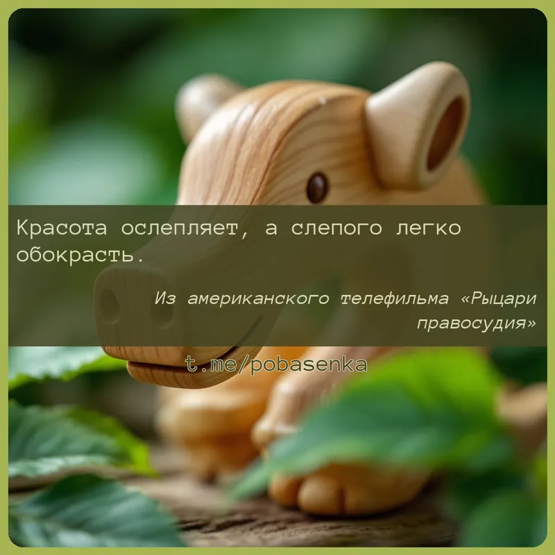 «Красота ослепляет, а слепого легко...» height="550" width="550"