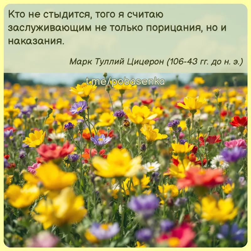«Кто не стыдится, того я считаю заслуживающим не только порицания, но и...» height="550" width="550"