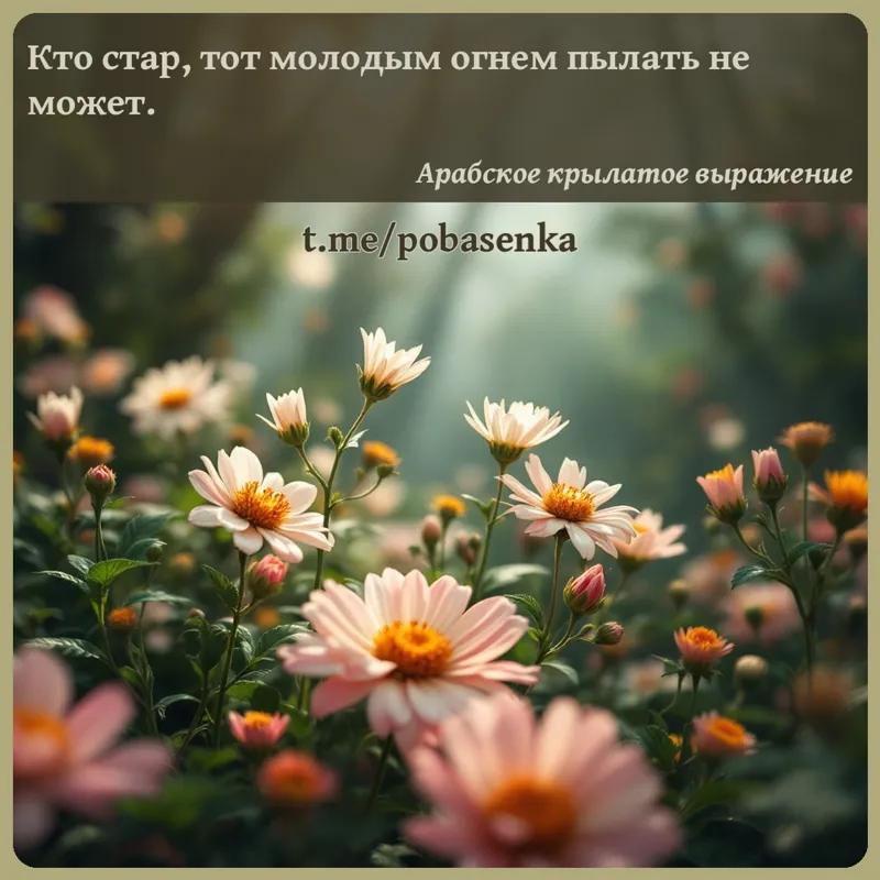 «Кто стар, тот молодым огнем пылать не...» height="550" width="550"