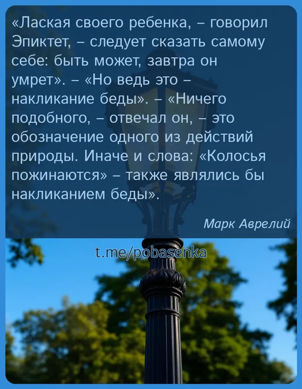 «Лаская своего ребенка, говорил Эпиктет, следует сказать самому себе быть может, завтра он умрет. Но ведь это накликание...» height="550" width="550"