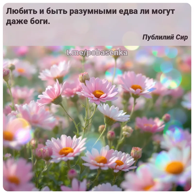 «Любить и быть разумными едва ли могут даже...» height="550" width="550"