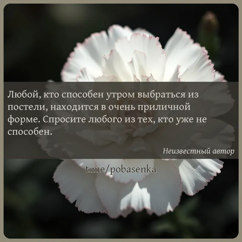 «Любой, кто способен утром выбраться из постели, находится в очень приличной форме. Спросите любого из тех, кто уже не...» height="550" width="550"