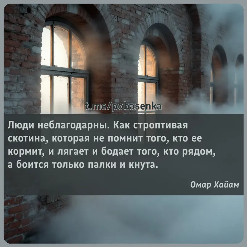 «Люди неблагодарны. Как строптивая скотина, которая не помнит того, кто ее кормит, и лягает и бодает того, кто рядом, а...» height="550" width="550"