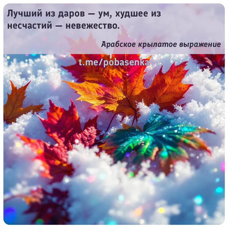 «Лучший из даров — ум, худшее из несчастий —...» height="550" width="550"
