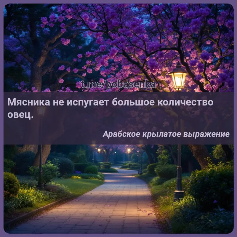 «Мясника не испугает большое количество...» height="550" width="550"