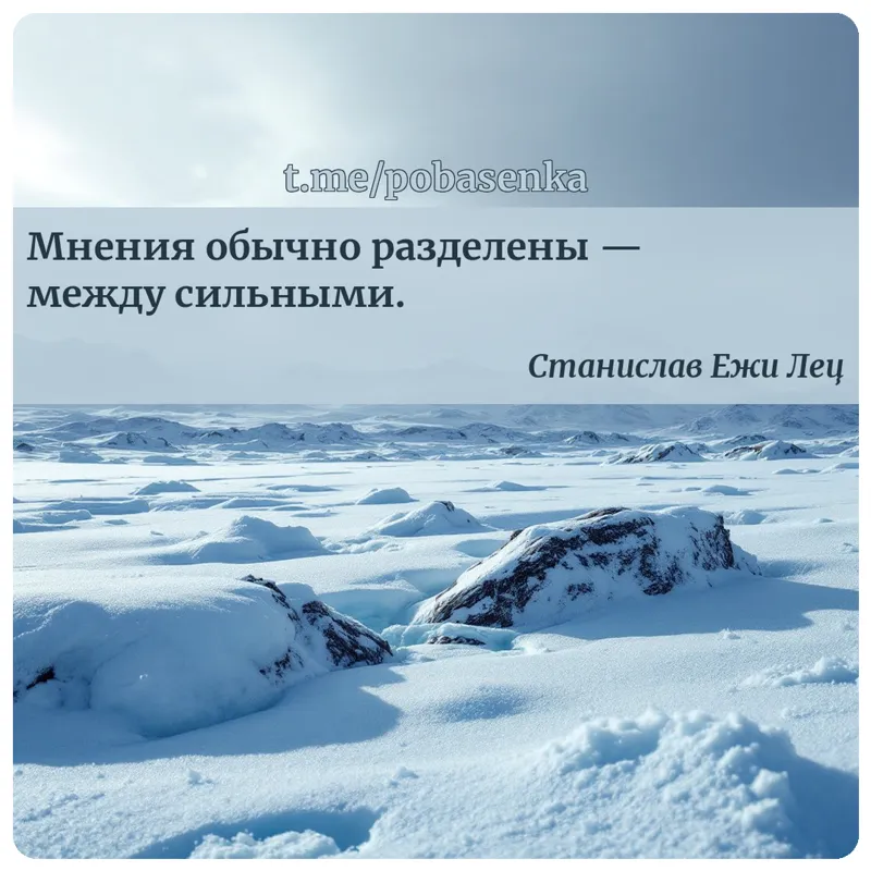 «Мнения обычно разделены — между...» height="550" width="550"