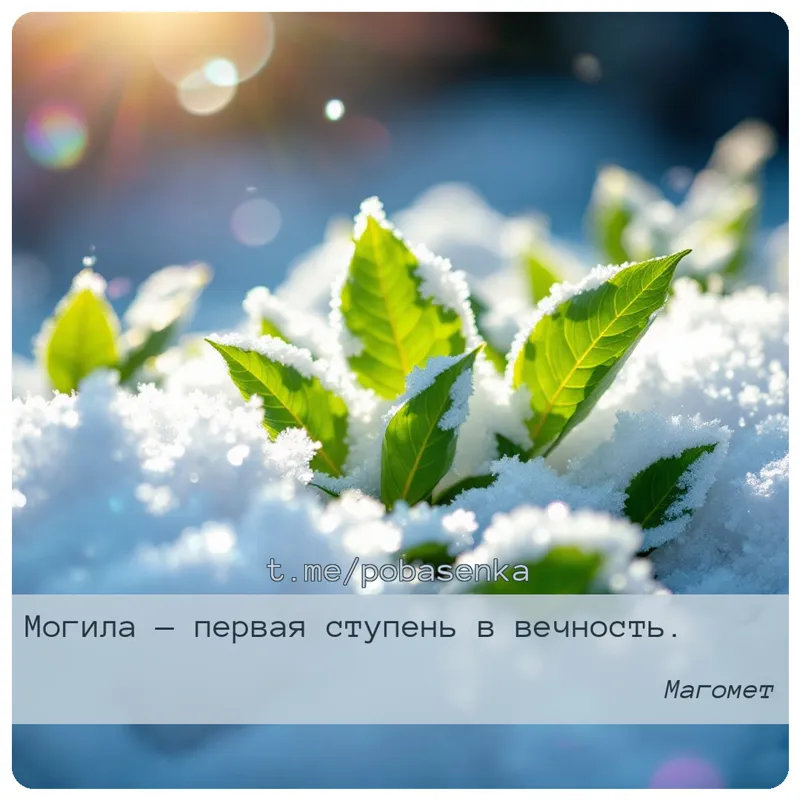 «Могила — первая ступень в...» height="550" width="550"