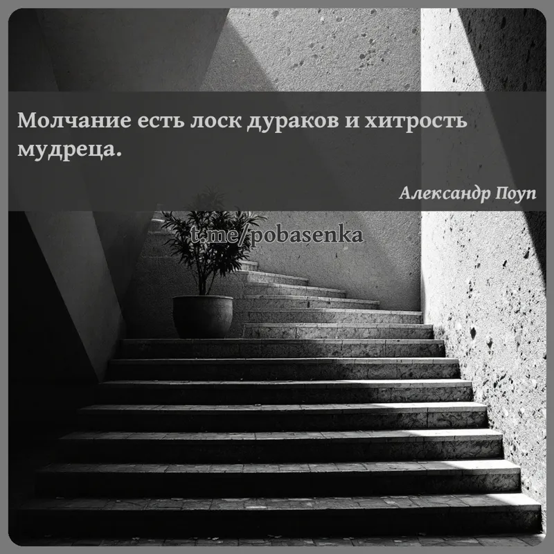 «Молчание есть лоск дураков и хитрость...» height="550" width="550"