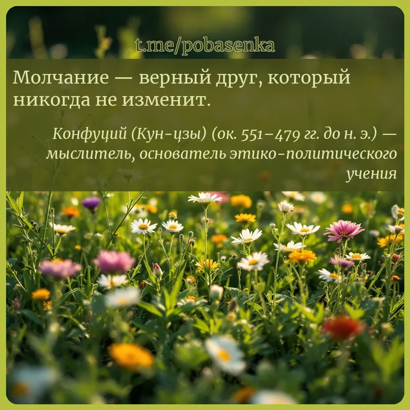 «Молчание — верный друг, который никогда не...» height="550" width="550"
