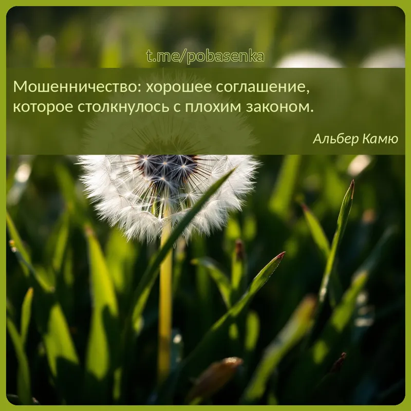 «Мошенничество хорошее соглашение, которое столкнулось с плохим...» height="550" width="550"