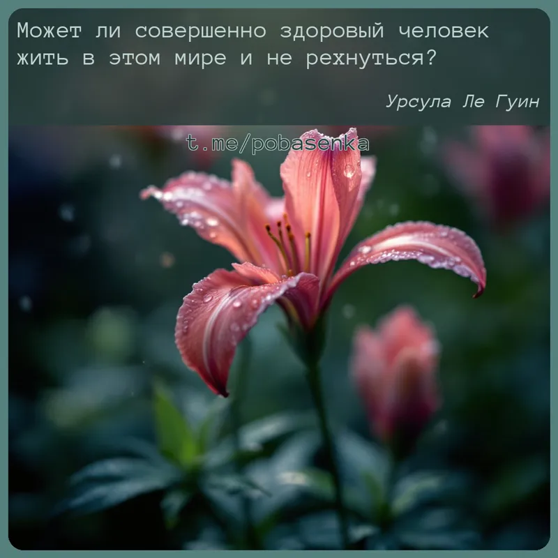 «Может ли совершенно здоровый человек жить в этом мире и не...» height="550" width="550"