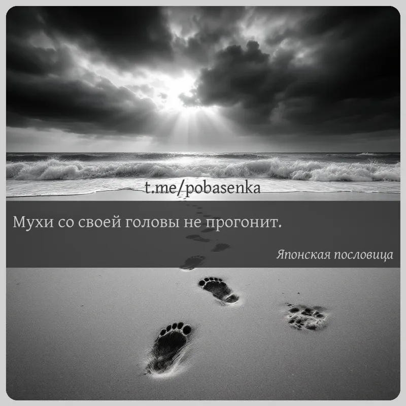 «Мухи со своей головы не...» height="550" width="550"