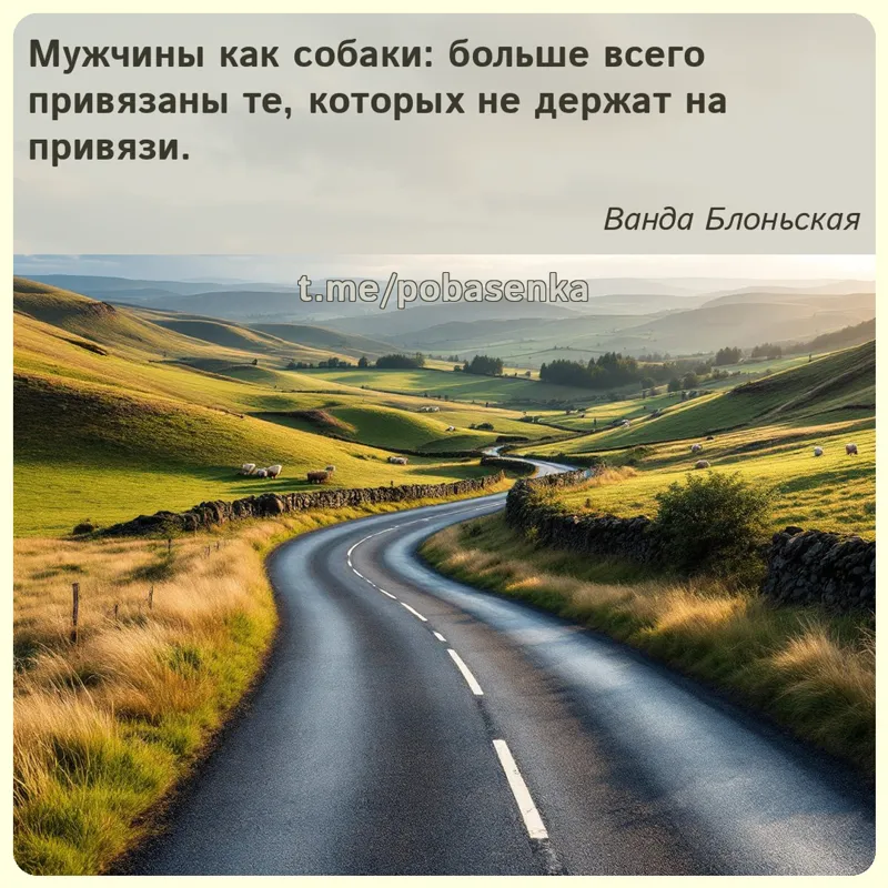 «Мужчины как собаки больше всего привязаны те, которых не держат на...» height="550" width="550"