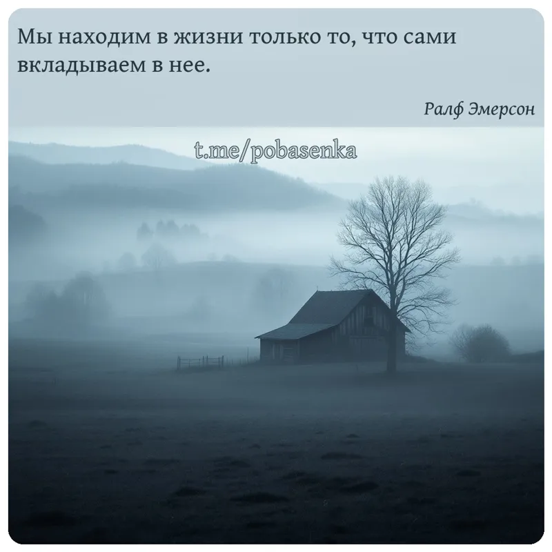 «Мы находим в жизни только то, что сами вкладываем в...» height="550" width="550"