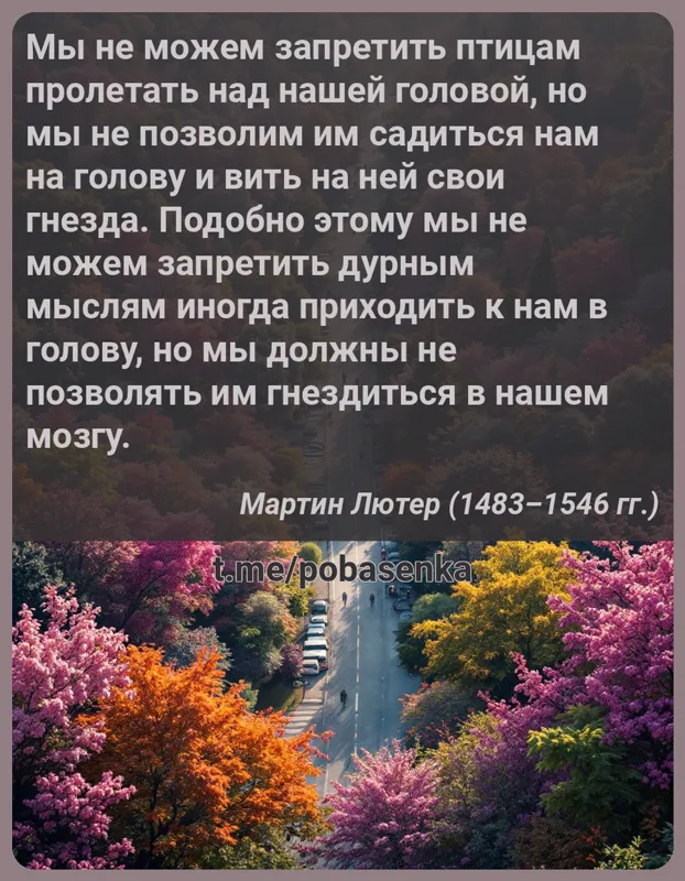 «Мы не можем запретить птицам пролетать над нашей головой, но мы не позволим им садиться нам на голову и вить на ней свои...» height="550" width="550"