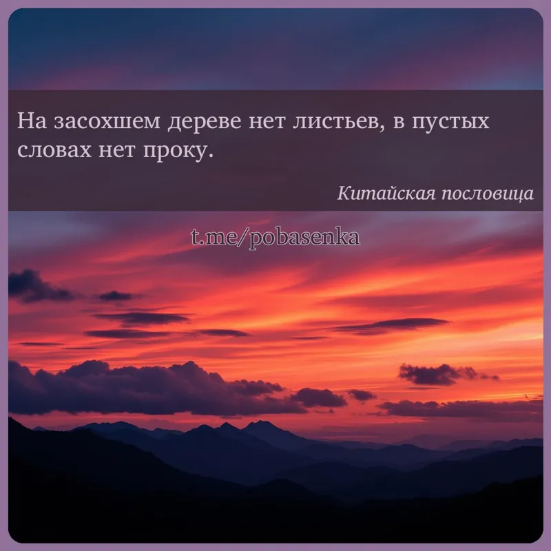 «На засохшем дереве нет листьев, в пустых словах нет...» height="550" width="550"