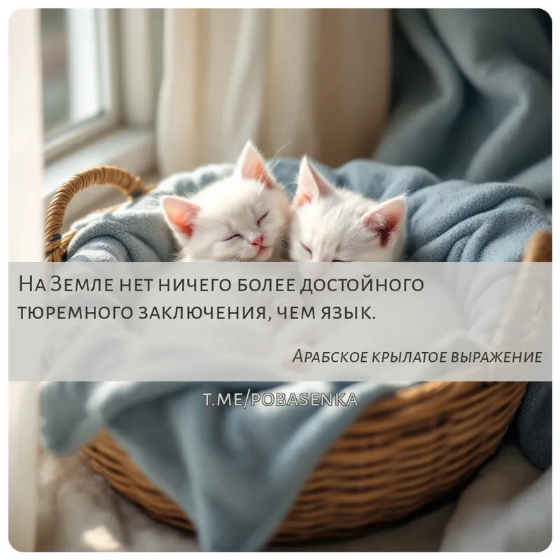 «На Земле нет ничего более достойного тюремного заключения, чем...» height="550" width="550"