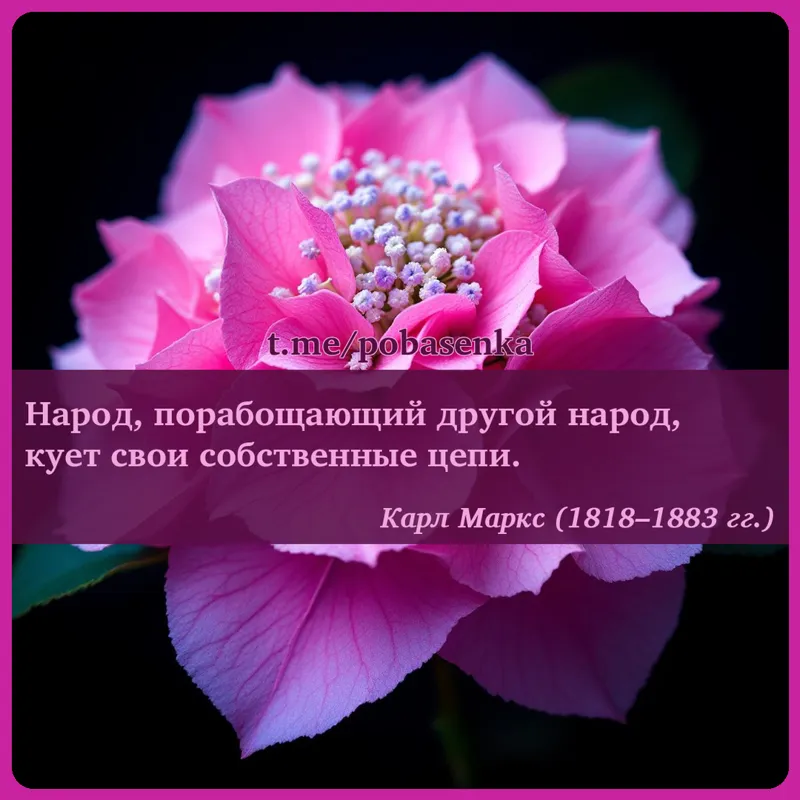 «Народ, порабощающий другой народ, кует свои собственные...» height="550" width="550"