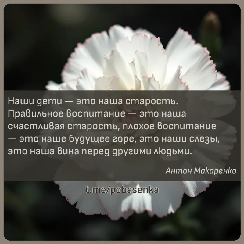«Наши дети — это наша старость. Правильное воспитание — это наша счастливая старость, плохое воспитание — это наше будущее...» height="550" width="550"