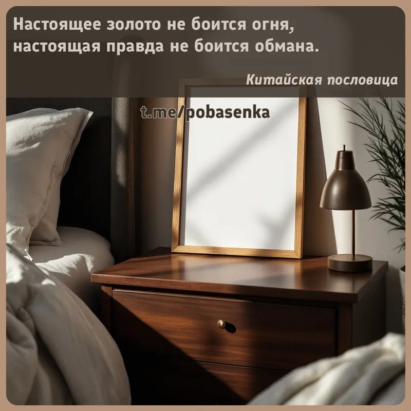 «Настоящее золото не боится огня, настоящая правда не боится...» height="550" width="550"