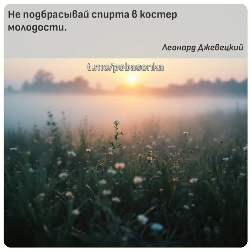 «Не подбрасывай спирта в костер...» height="550" width="550"