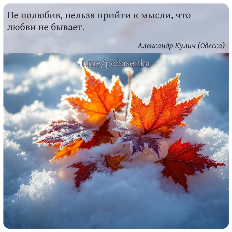 «Не полюбив, нельзя прийти к мысли, что любви не...» height="550" width="550"