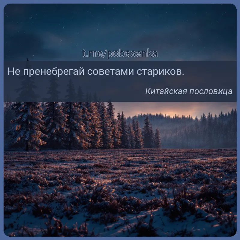 «Не пренебрегай советами...» height="550" width="550"
