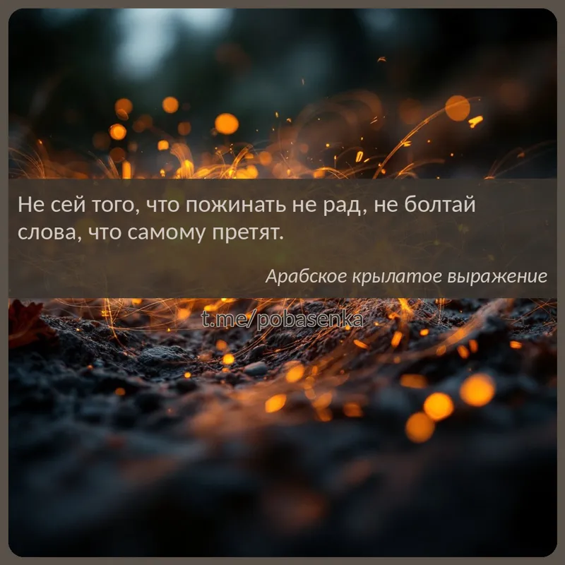 «Не сей того, что пожинать не рад, не болтай слова, что самому...» height="550" width="550"