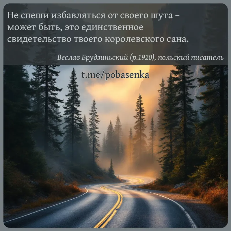 «Не спеши избавляться от своего шута может быть, это единственное свидетельство твоего королевского...» height="550" width="550"