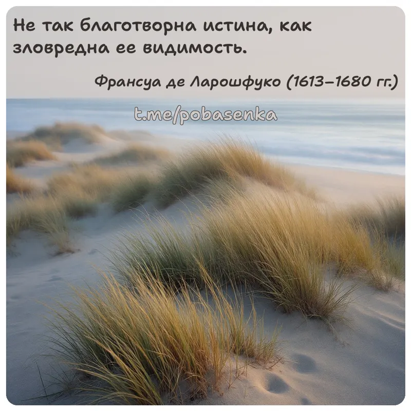 «Не так благотворна истина, как зловредна ее...» height="550" width="550"