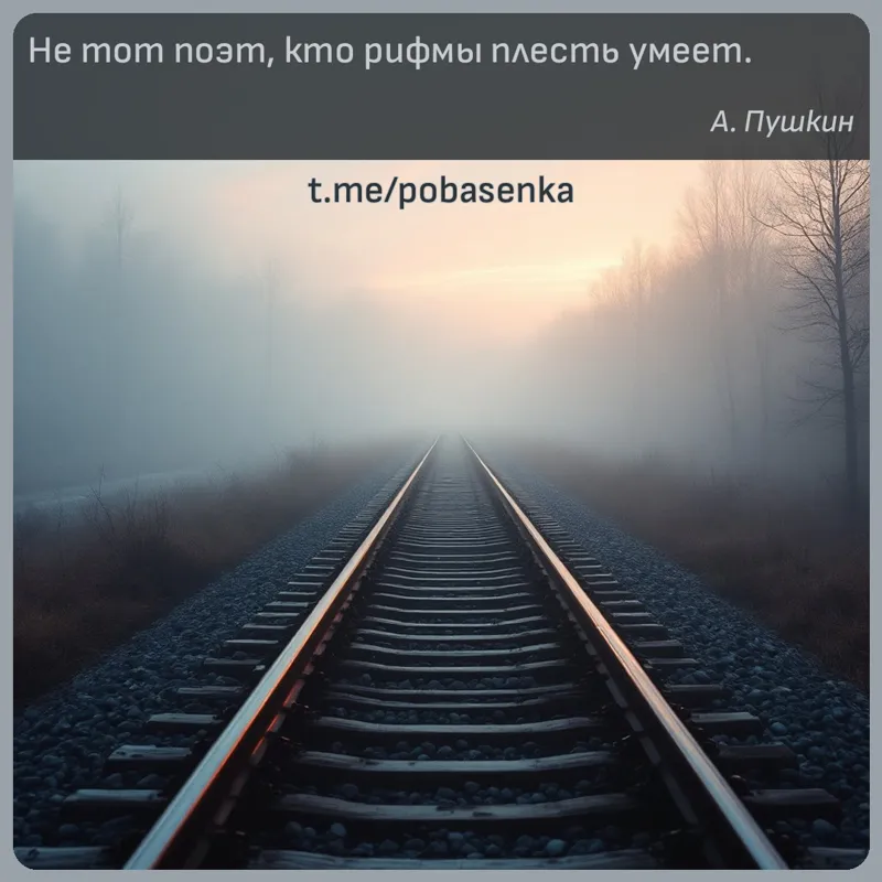 «Не тот поэт, кто рифмы плесть...» height="550" width="550"