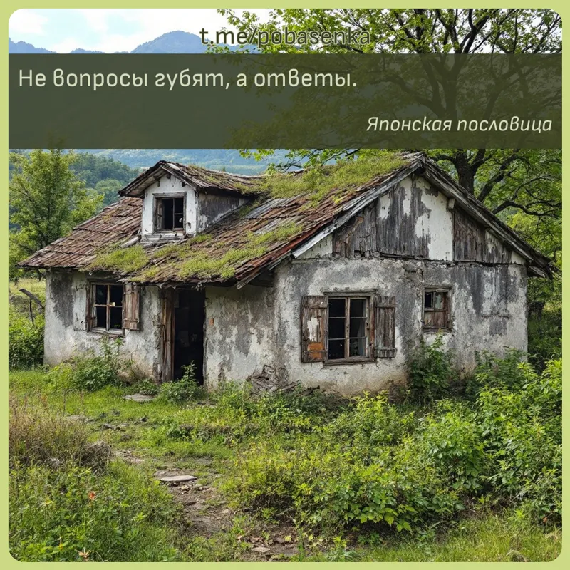 «Не вопросы губят, а...» height="550" width="550"