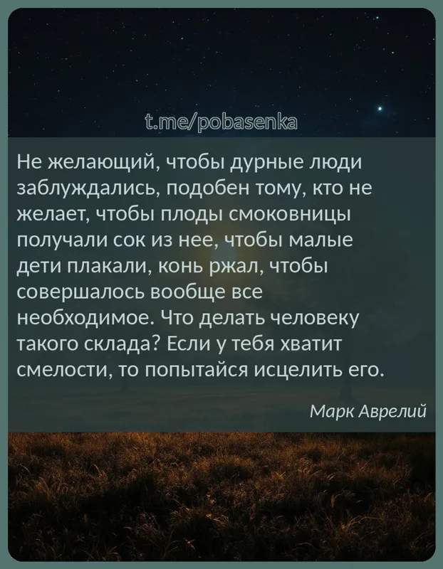 «Не желающий, чтобы дурные люди заблуждались, подобен тому, кто не желает, чтобы плоды смоковницы получали сок из нее, чтобы...» height="550" width="550"