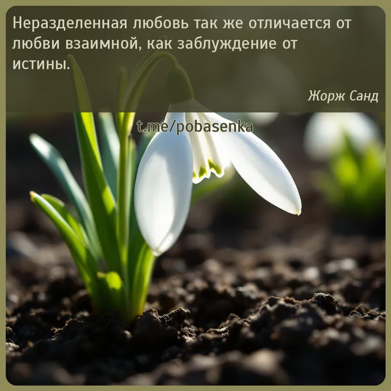 «Неразделенная любовь так же отличается от любви взаимной, как заблуждение от...» height="550" width="550"