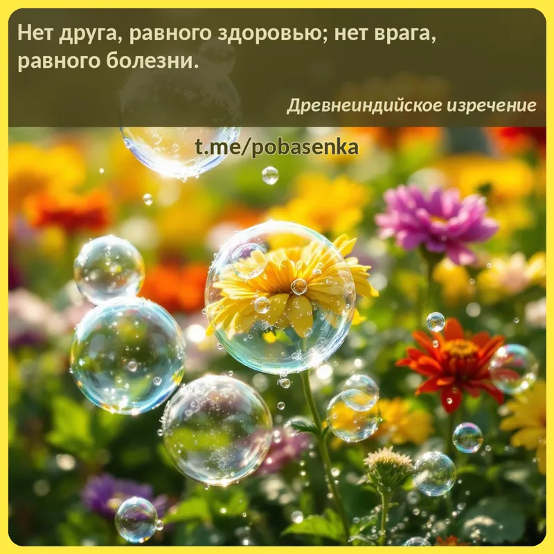 «Нет друга, равного здоровью; нет врага, равного...» height="550" width="550"