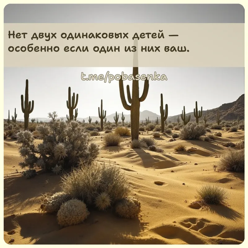 «Нет двух одинаковых детей — особенно если один из них...» height="550" width="550"