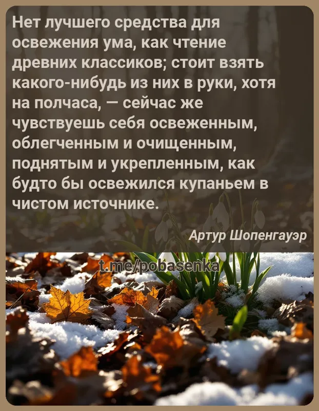 «Нет лучшего средства для освежения ума, как чтение древних классиков; стоит взять какого нибудь из них в руки, хотя на...» height="550" width="550"